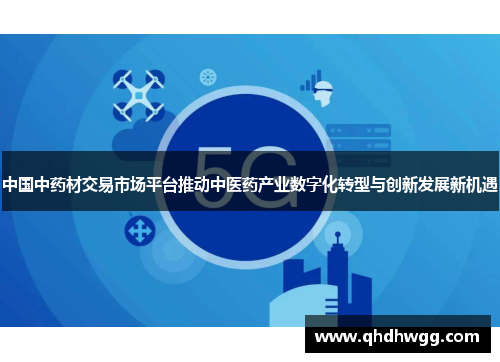 中国中药材交易市场平台推动中医药产业数字化转型与创新发展新机遇