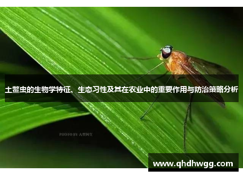 土鳖虫的生物学特征、生态习性及其在农业中的重要作用与防治策略分析