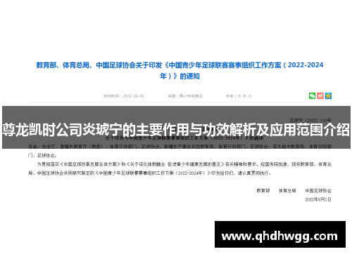尊龙凯时公司炎琥宁的主要作用与功效解析及应用范围介绍