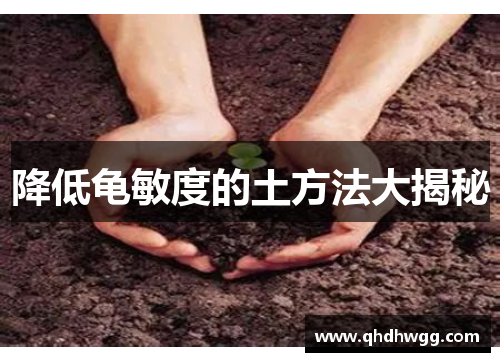 降低龟敏度的土方法大揭秘