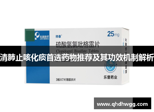 清肺止咳化痰首选药物推荐及其功效机制解析 清肺止咳化痰首选药物推荐及其功效机制解析