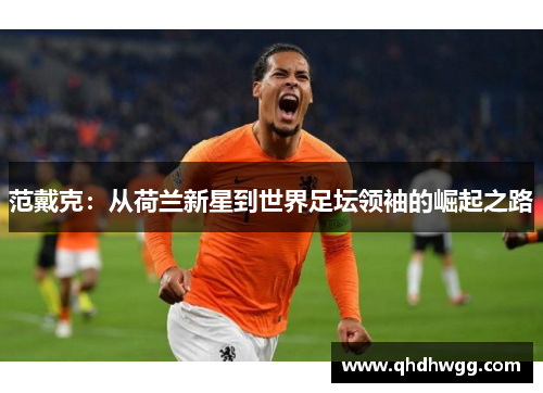 范戴克：从荷兰新星到世界足坛领袖的崛起之路